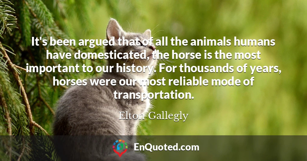 It's been argued that of all the animals humans have domesticated, the horse is the most important to our history. For thousands of years, horses were our most reliable mode of transportation.