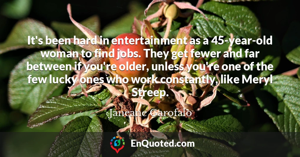It's been hard in entertainment as a 45-year-old woman to find jobs. They get fewer and far between if you're older, unless you're one of the few lucky ones who work constantly, like Meryl Streep.