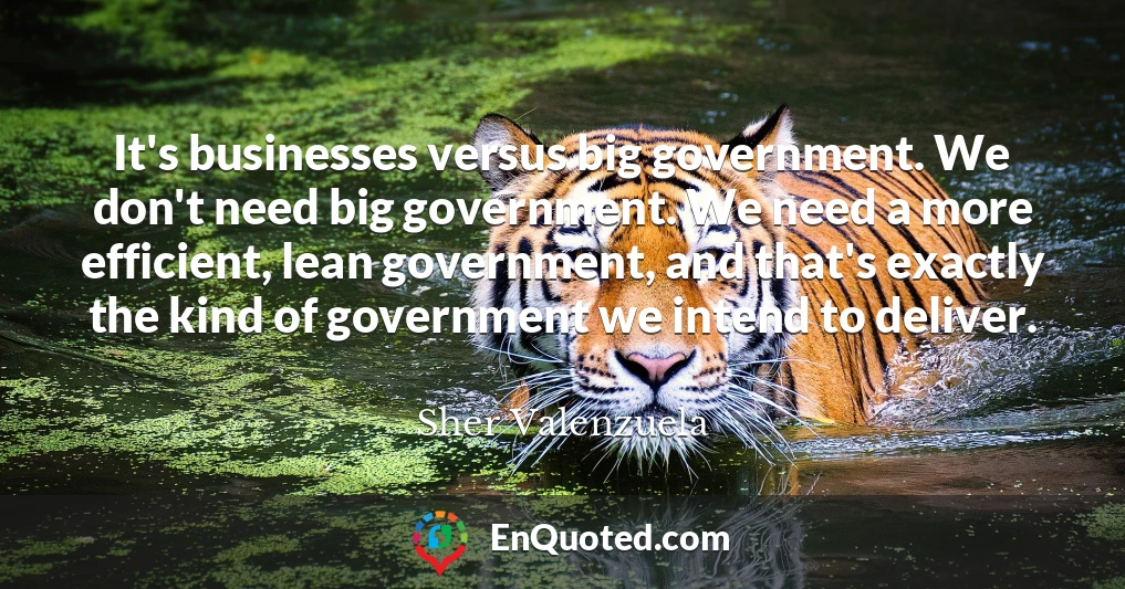 It's businesses versus big government. We don't need big government. We need a more efficient, lean government, and that's exactly the kind of government we intend to deliver.