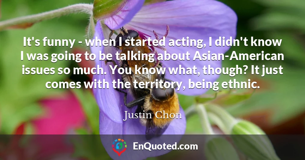 It's funny - when I started acting, I didn't know I was going to be talking about Asian-American issues so much. You know what, though? It just comes with the territory, being ethnic.