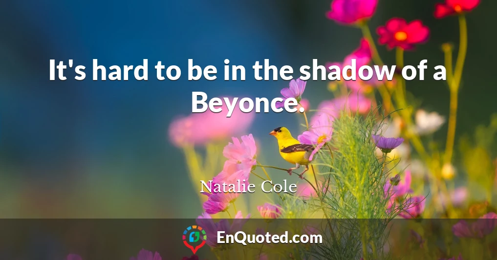It's hard to be in the shadow of a Beyonce.