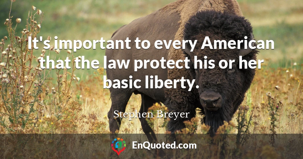 It's important to every American that the law protect his or her basic liberty.
