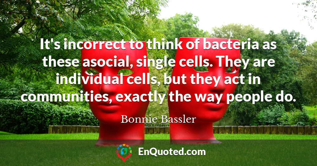 It's incorrect to think of bacteria as these asocial, single cells. They are individual cells, but they act in communities, exactly the way people do.