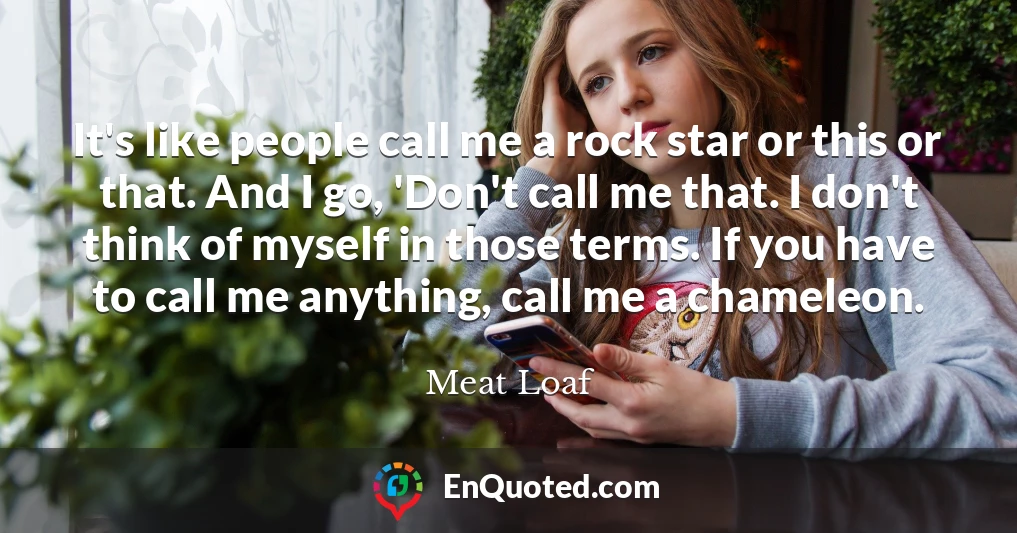 It's like people call me a rock star or this or that. And I go, 'Don't call me that. I don't think of myself in those terms. If you have to call me anything, call me a chameleon.