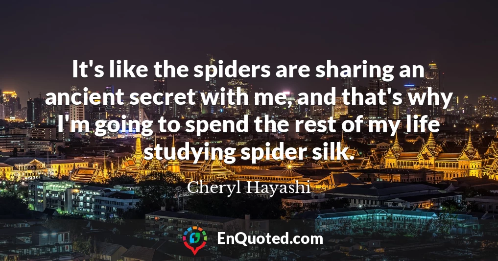 It's like the spiders are sharing an ancient secret with me, and that's why I'm going to spend the rest of my life studying spider silk.