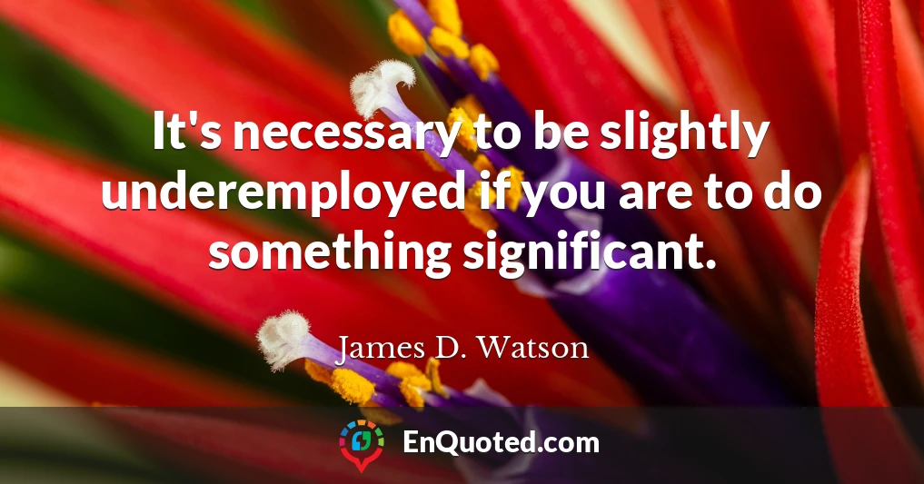 It's necessary to be slightly underemployed if you are to do something significant.