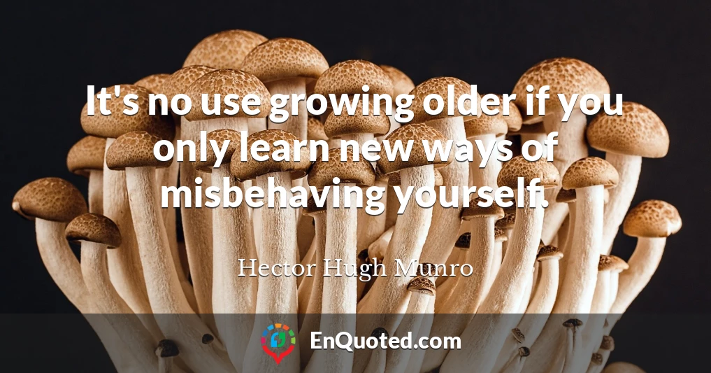 It's no use growing older if you only learn new ways of misbehaving yourself.