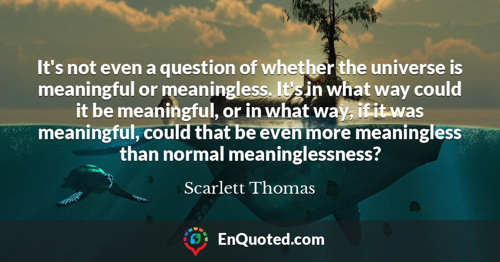 It's not even a question of whether the universe is meaningful or meaningless. It's in what way could it be meaningful, or in what way, if it was meaningful, could that be even more meaningless than normal meaninglessness?