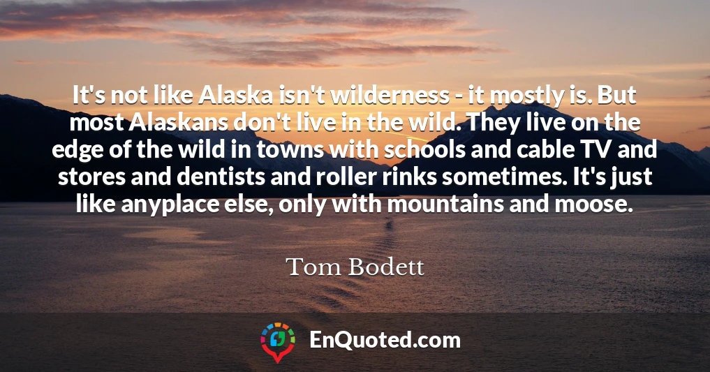 It's not like Alaska isn't wilderness - it mostly is. But most Alaskans don't live in the wild. They live on the edge of the wild in towns with schools and cable TV and stores and dentists and roller rinks sometimes. It's just like anyplace else, only with mountains and moose.