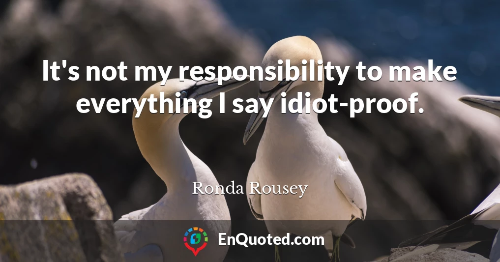 It's not my responsibility to make everything I say idiot-proof.