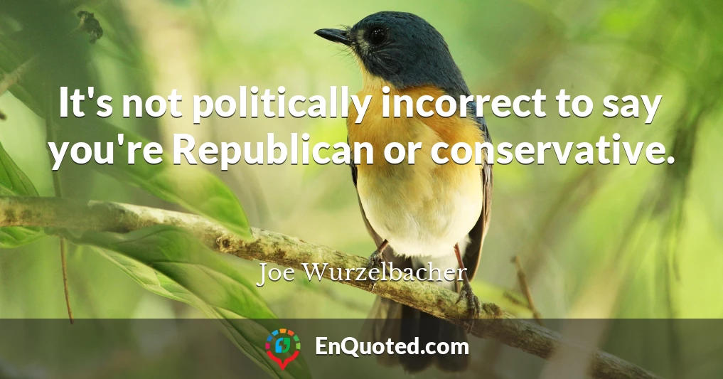 It's not politically incorrect to say you're Republican or conservative.