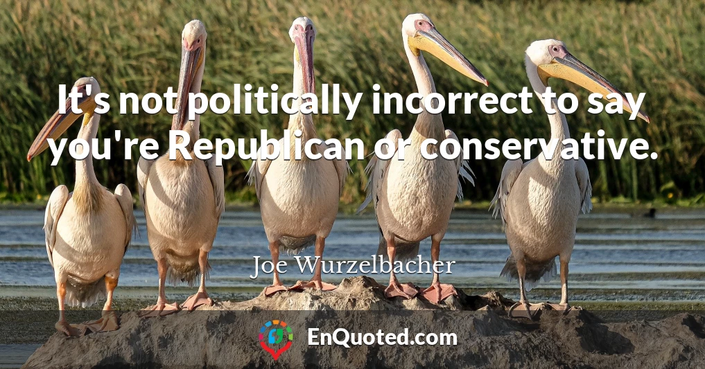 It's not politically incorrect to say you're Republican or conservative.