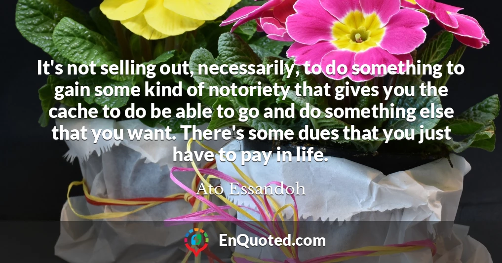 It's not selling out, necessarily, to do something to gain some kind of notoriety that gives you the cache to do be able to go and do something else that you want. There's some dues that you just have to pay in life.