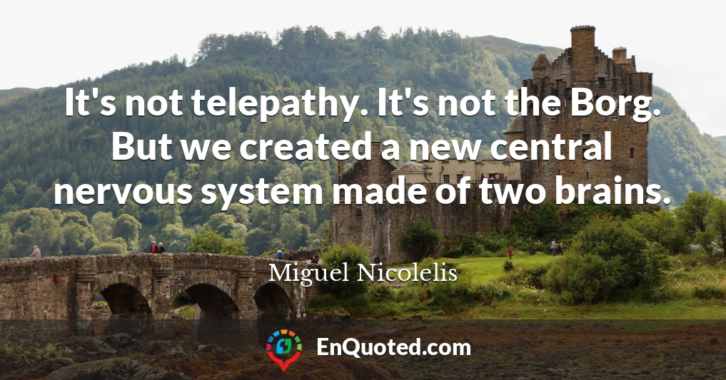 It's not telepathy. It's not the Borg. But we created a new central nervous system made of two brains.