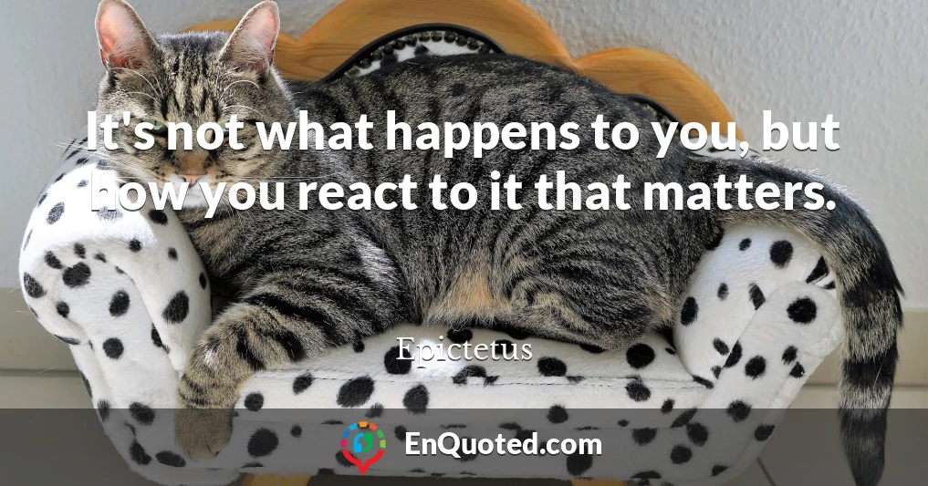 It's not what happens to you, but how you react to it that matters.