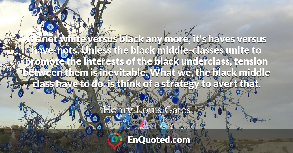 It's not white versus black any more, it's haves versus have-nots. Unless the black middle-classes unite to promote the interests of the black underclass, tension between them is inevitable. What we, the black middle class have to do, is think of a strategy to avert that.