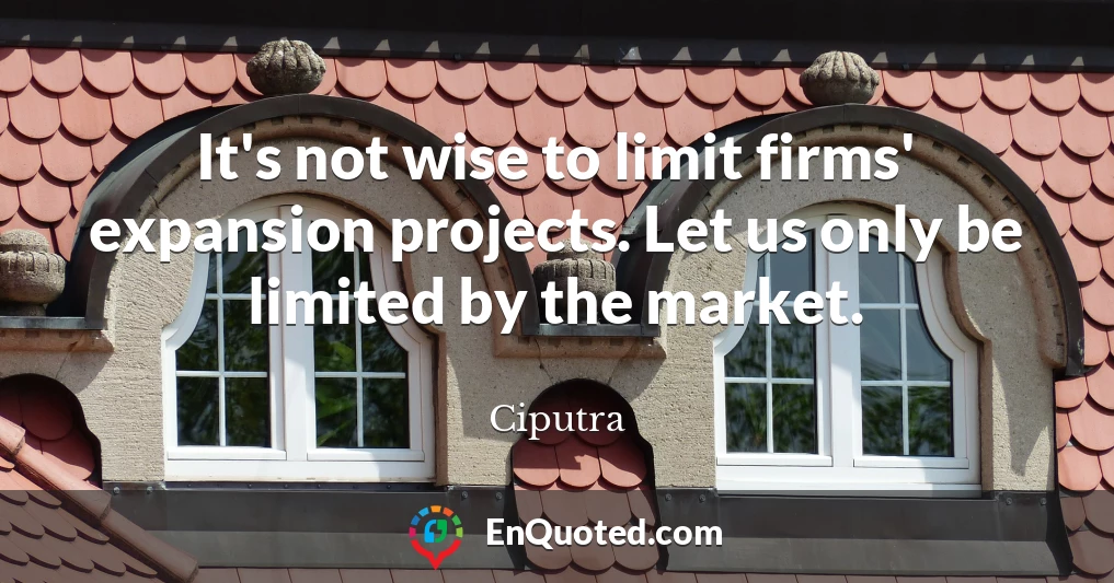 It's not wise to limit firms' expansion projects. Let us only be limited by the market.