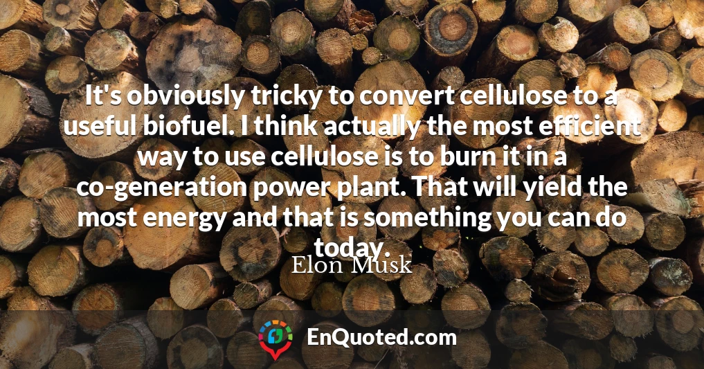 It's obviously tricky to convert cellulose to a useful biofuel. I think actually the most efficient way to use cellulose is to burn it in a co-generation power plant. That will yield the most energy and that is something you can do today.