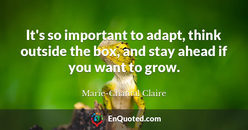 It's so important to adapt, think outside the box, and stay ahead if you want to grow.