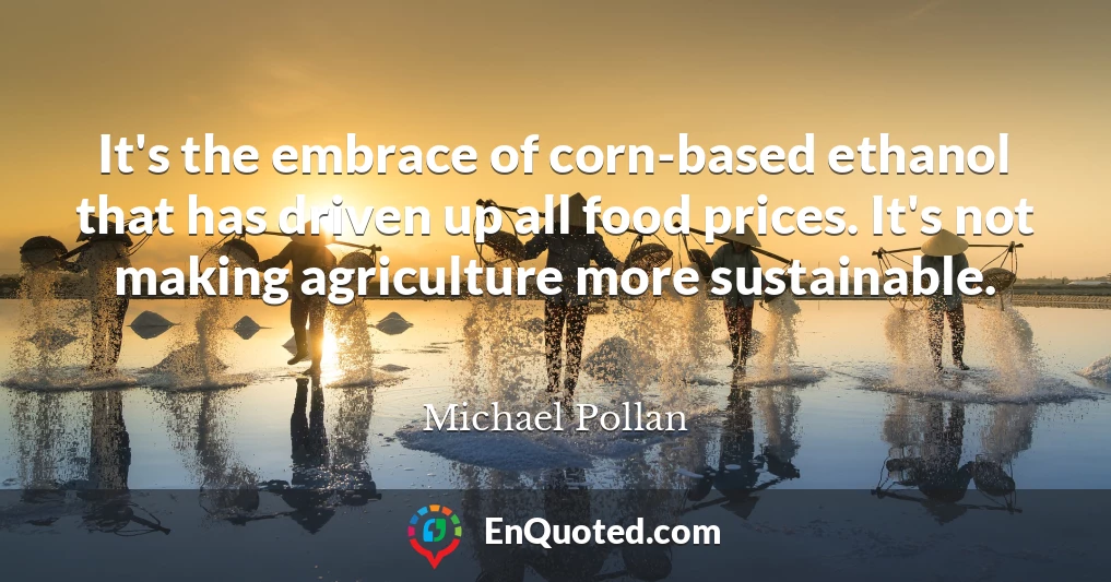 It's the embrace of corn-based ethanol that has driven up all food prices. It's not making agriculture more sustainable.
