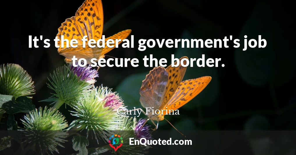 It's the federal government's job to secure the border.