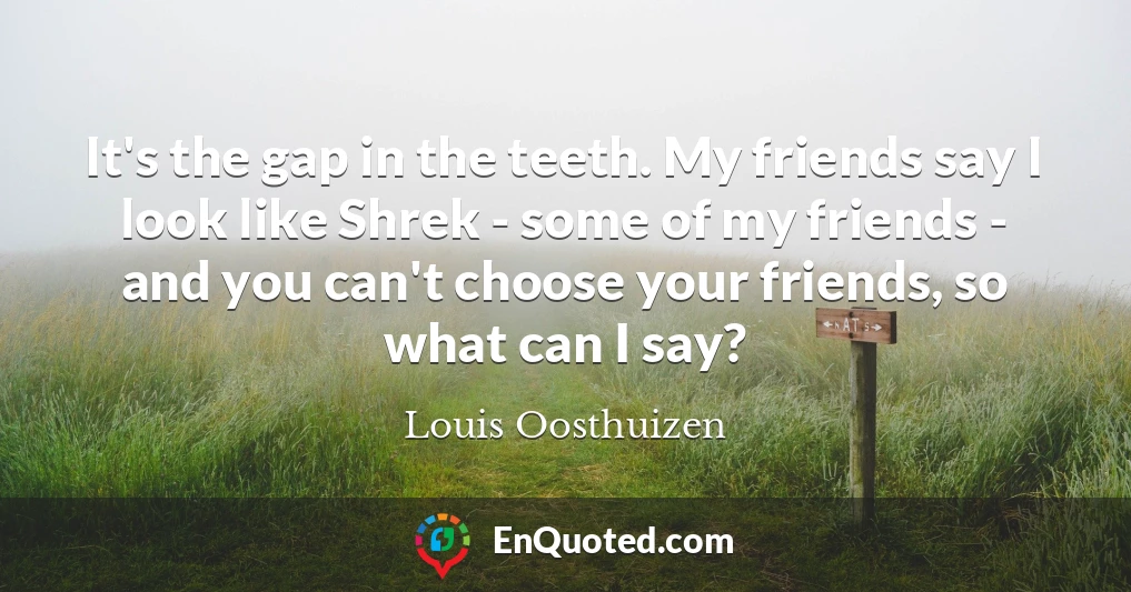 It's the gap in the teeth. My friends say I look like Shrek - some of my friends - and you can't choose your friends, so what can I say?