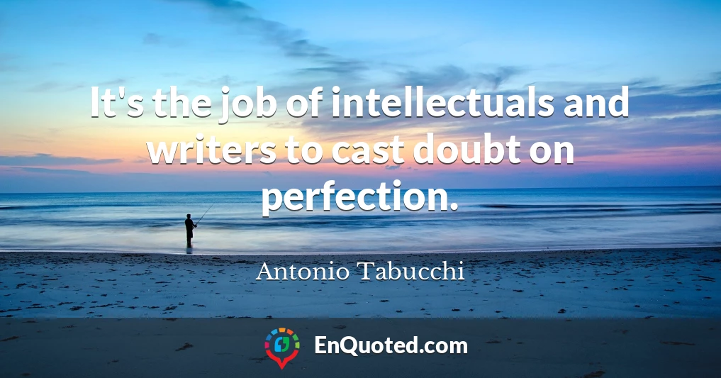 It's the job of intellectuals and writers to cast doubt on perfection.