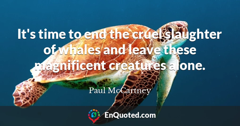 It's time to end the cruel slaughter of whales and leave these magnificent creatures alone.