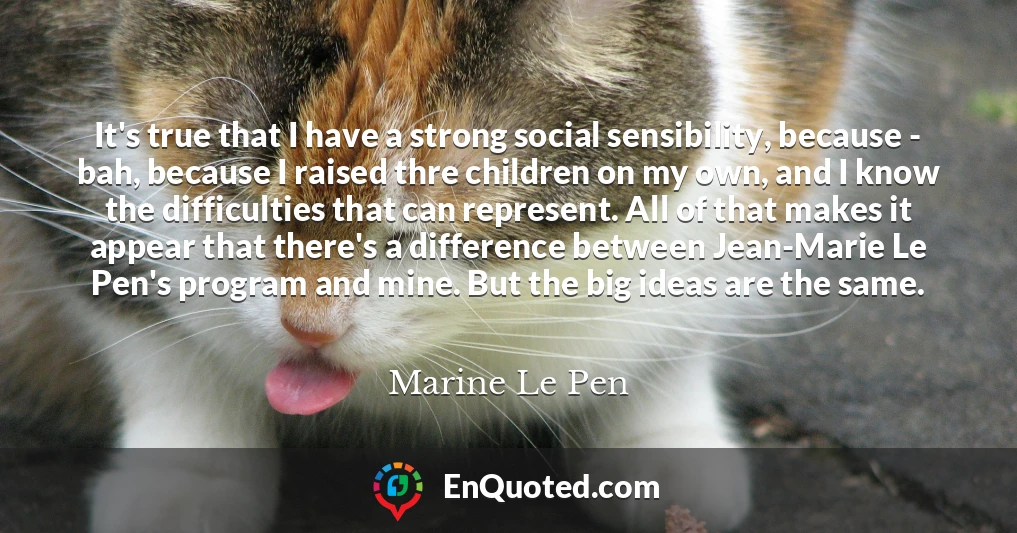 It's true that I have a strong social sensibility, because - bah, because I raised thre children on my own, and I know the difficulties that can represent. All of that makes it appear that there's a difference between Jean-Marie Le Pen's program and mine. But the big ideas are the same.