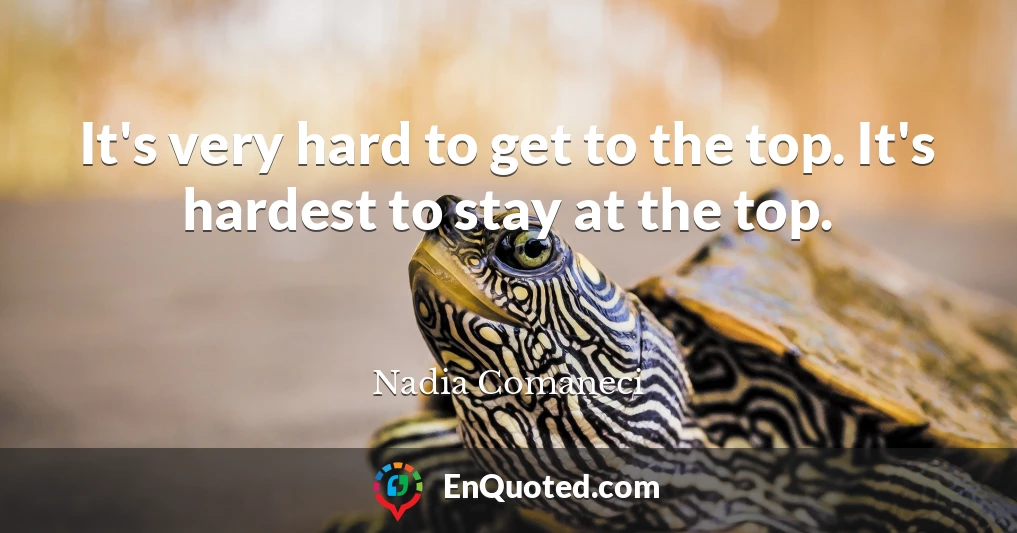 It's very hard to get to the top. It's hardest to stay at the top.