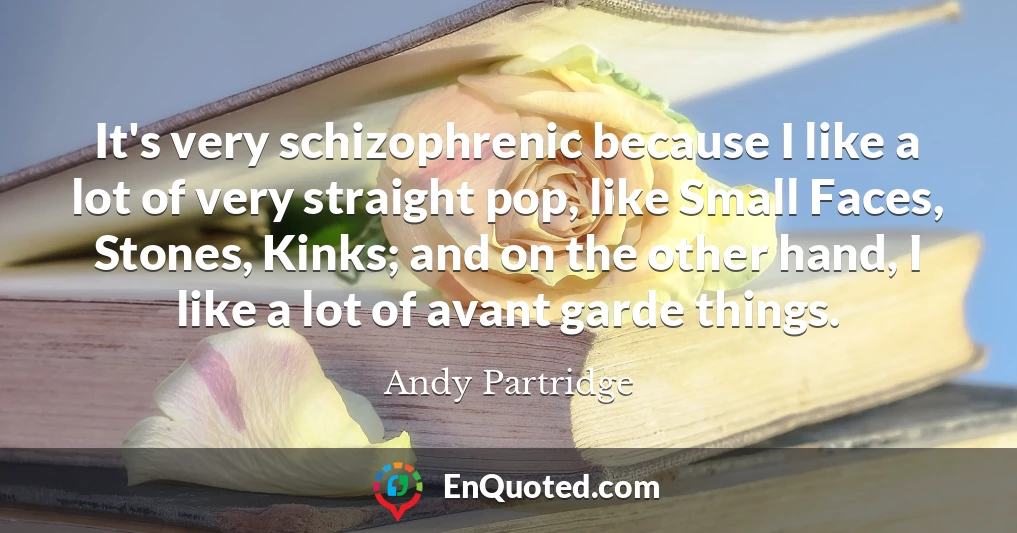 It's very schizophrenic because I like a lot of very straight pop, like Small Faces, Stones, Kinks; and on the other hand, I like a lot of avant garde things.