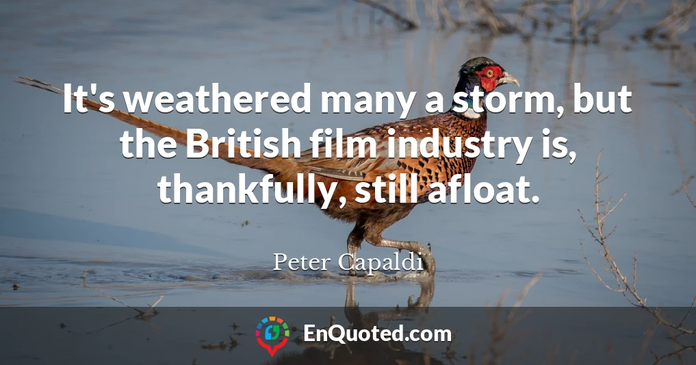 It's weathered many a storm, but the British film industry is, thankfully, still afloat.