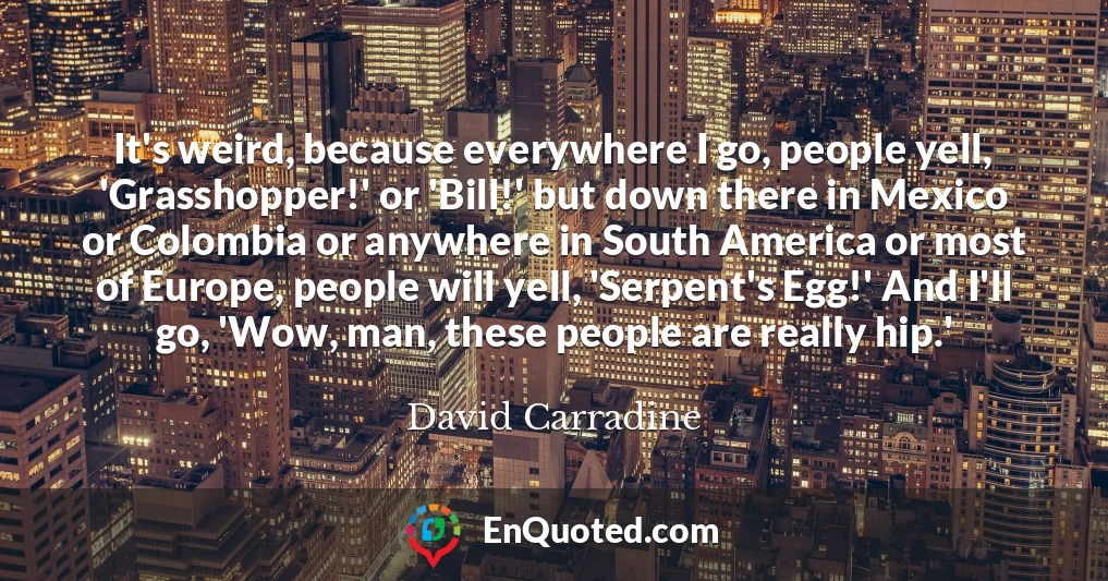 It's weird, because everywhere I go, people yell, 'Grasshopper!' or 'Bill!' but down there in Mexico or Colombia or anywhere in South America or most of Europe, people will yell, 'Serpent's Egg!' And I'll go, 'Wow, man, these people are really hip.'