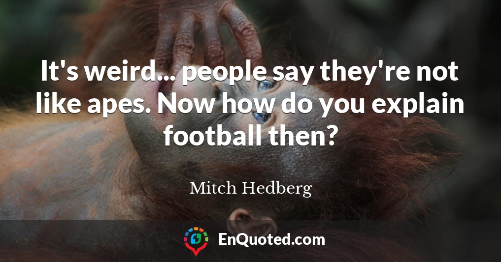 It's weird... people say they're not like apes. Now how do you explain football then?