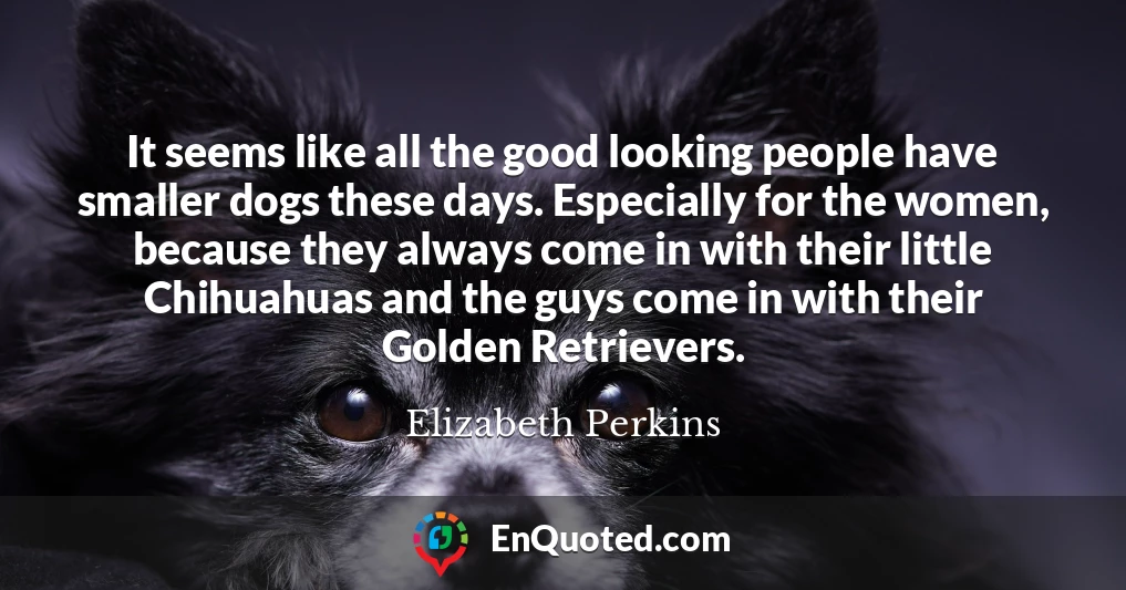 It seems like all the good looking people have smaller dogs these days. Especially for the women, because they always come in with their little Chihuahuas and the guys come in with their Golden Retrievers.