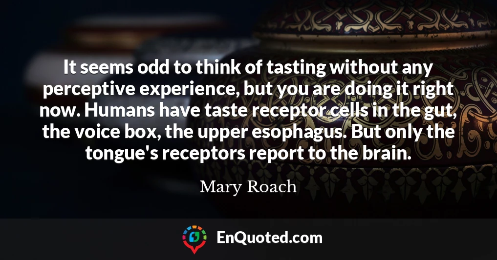 It seems odd to think of tasting without any perceptive experience, but you are doing it right now. Humans have taste receptor cells in the gut, the voice box, the upper esophagus. But only the tongue's receptors report to the brain.