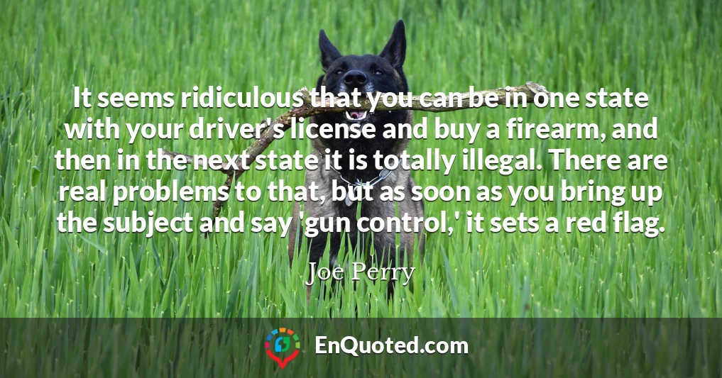 It seems ridiculous that you can be in one state with your driver's license and buy a firearm, and then in the next state it is totally illegal. There are real problems to that, but as soon as you bring up the subject and say 'gun control,' it sets a red flag.