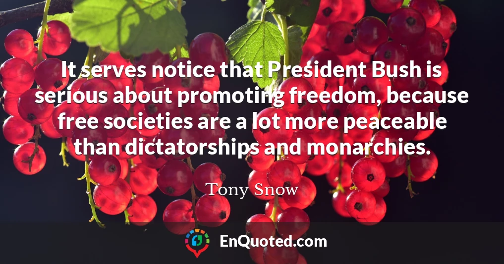 It serves notice that President Bush is serious about promoting freedom, because free societies are a lot more peaceable than dictatorships and monarchies.