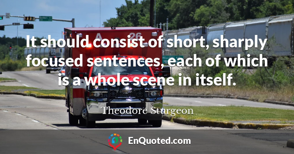 It should consist of short, sharply focused sentences, each of which is a whole scene in itself.