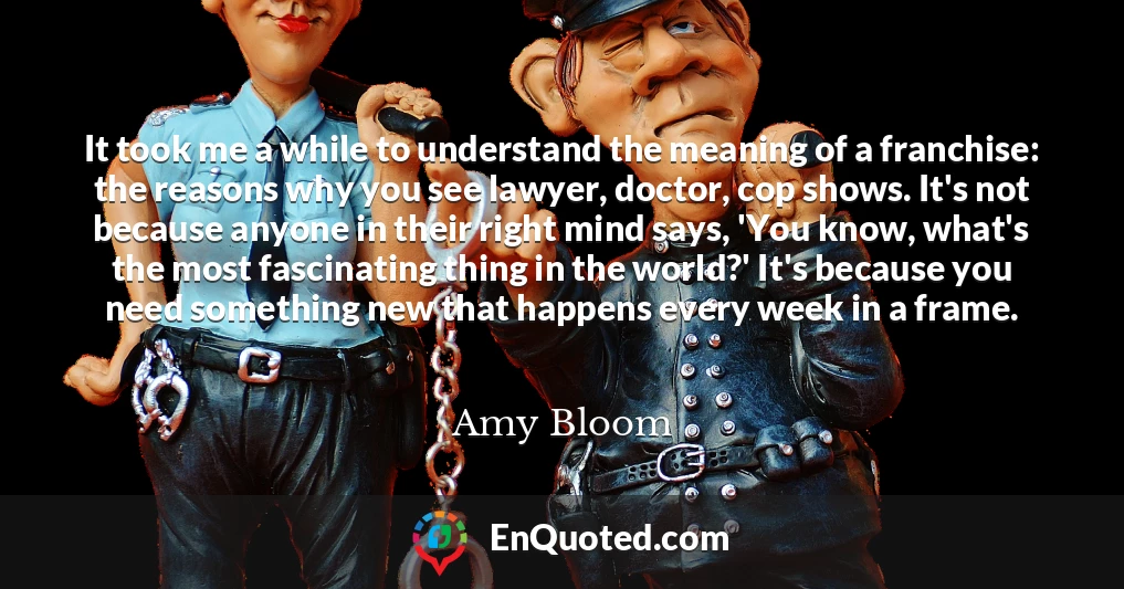 It took me a while to understand the meaning of a franchise: the reasons why you see lawyer, doctor, cop shows. It's not because anyone in their right mind says, 'You know, what's the most fascinating thing in the world?' It's because you need something new that happens every week in a frame.