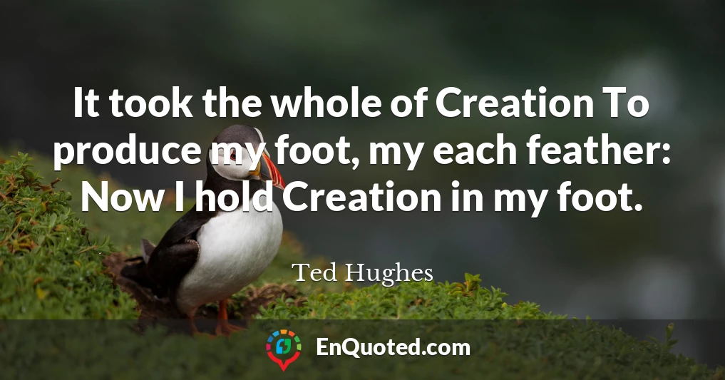 It took the whole of Creation To produce my foot, my each feather: Now I hold Creation in my foot.