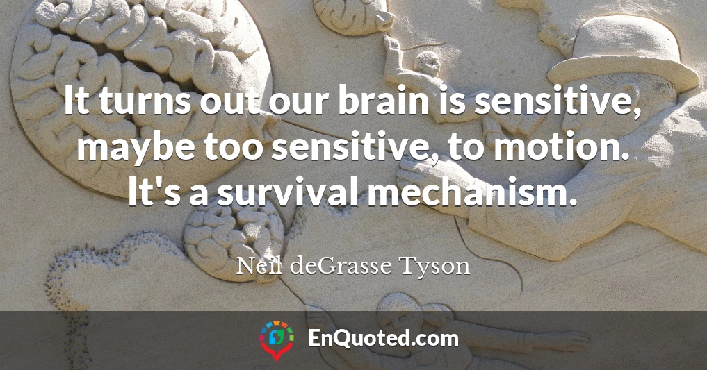 It turns out our brain is sensitive, maybe too sensitive, to motion. It's a survival mechanism.