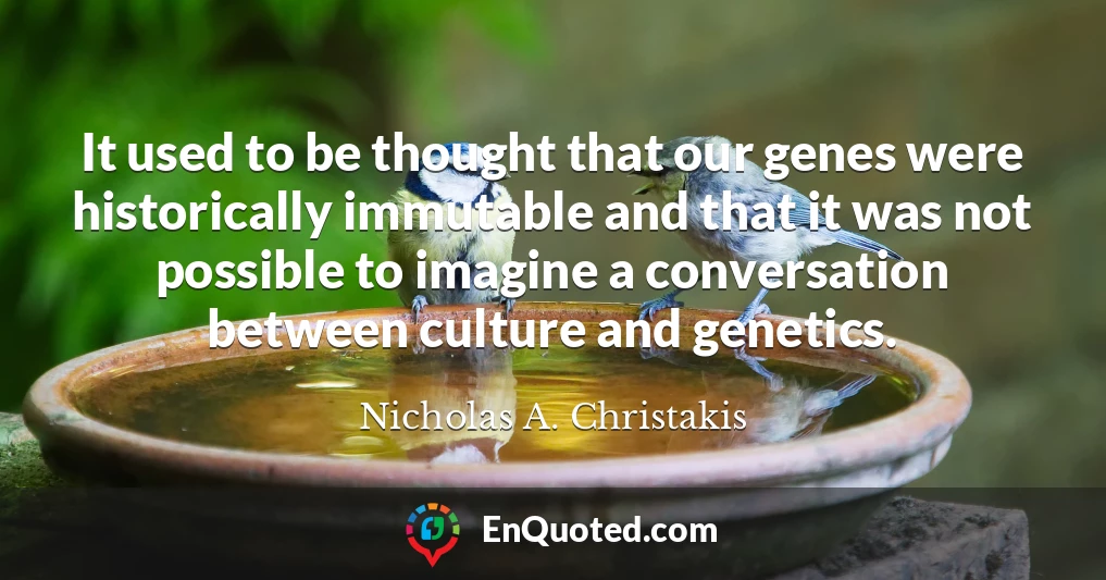 It used to be thought that our genes were historically immutable and that it was not possible to imagine a conversation between culture and genetics.