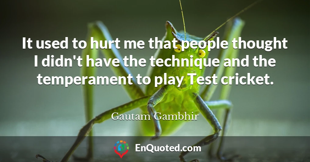 It used to hurt me that people thought I didn't have the technique and the temperament to play Test cricket.