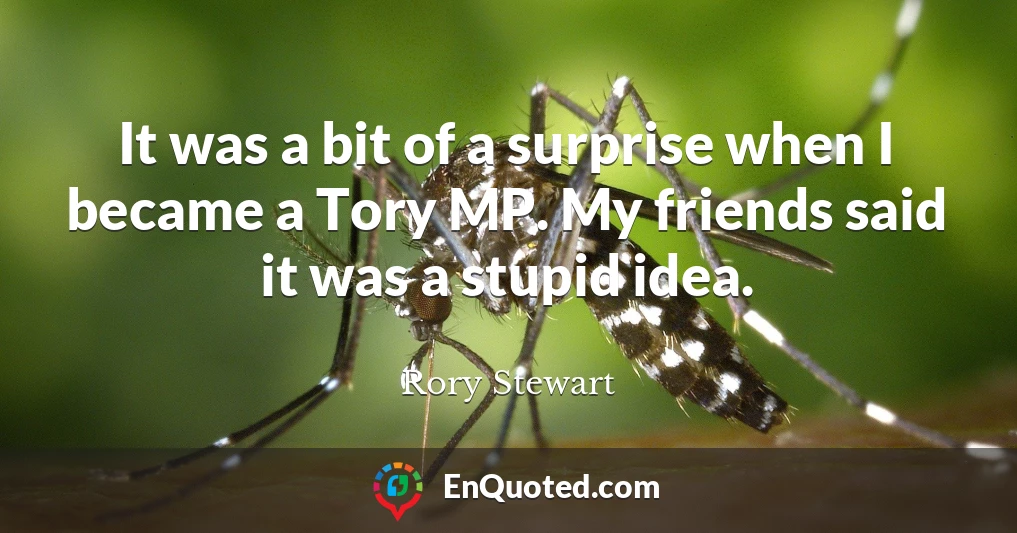 It was a bit of a surprise when I became a Tory MP. My friends said it was a stupid idea.