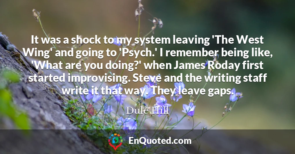 It was a shock to my system leaving 'The West Wing' and going to 'Psych.' I remember being like, 'What are you doing?' when James Roday first started improvising. Steve and the writing staff write it that way. They leave gaps.
