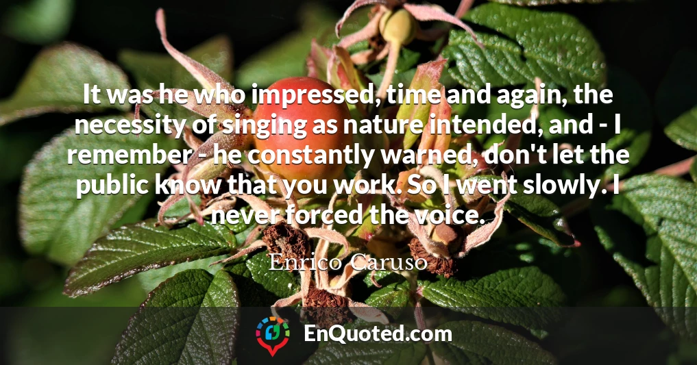It was he who impressed, time and again, the necessity of singing as nature intended, and - I remember - he constantly warned, don't let the public know that you work. So I went slowly. I never forced the voice.