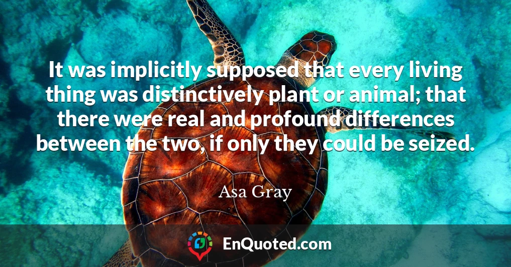 It was implicitly supposed that every living thing was distinctively plant or animal; that there were real and profound differences between the two, if only they could be seized.