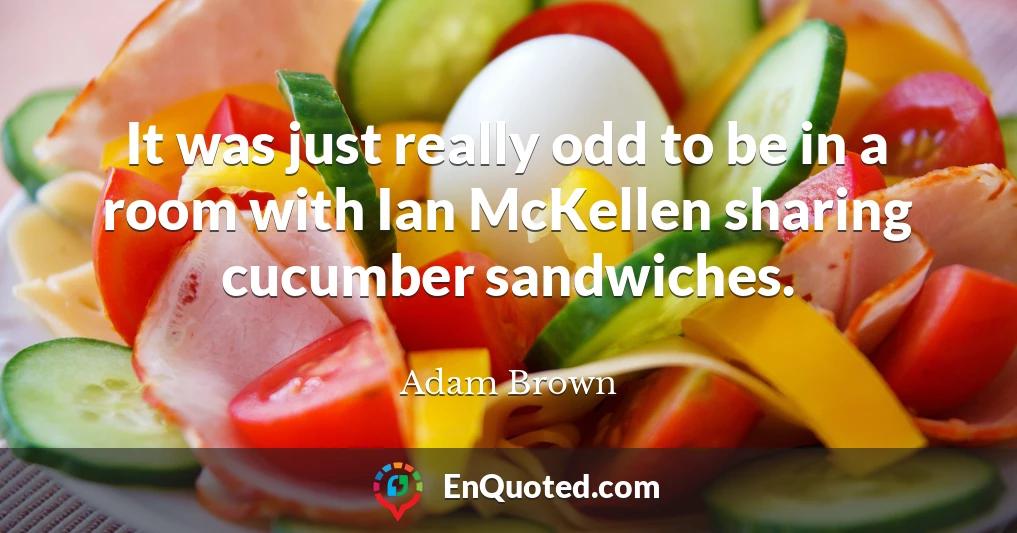 It was just really odd to be in a room with Ian McKellen sharing cucumber sandwiches.