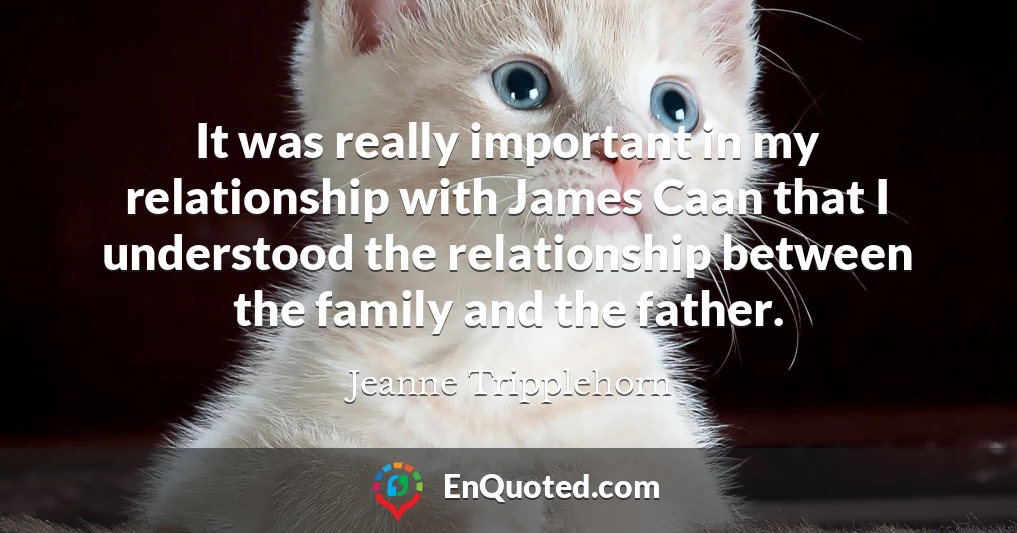 It was really important in my relationship with James Caan that I understood the relationship between the family and the father.